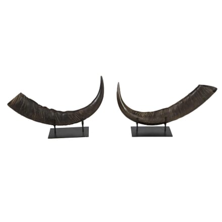 Pair of Mounted Horns DA0112597