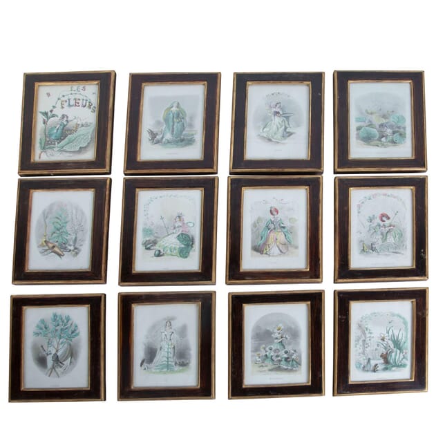 Set Of Twelve Hand-Coloured Prints From Les Fleurs Animees WD9961065