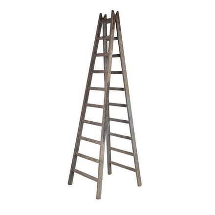 Early 20th Century French Painter's Ladder OF3513360