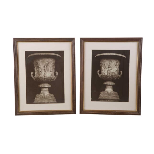 Pair of Photographs of a Classical Urn WD3956892